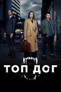 Постер к Топ дог 2020